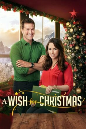 A Wish for Christmas izle (2016)