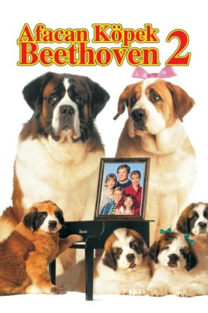 Afacan Köpek Beethoven 2 izle (1993)