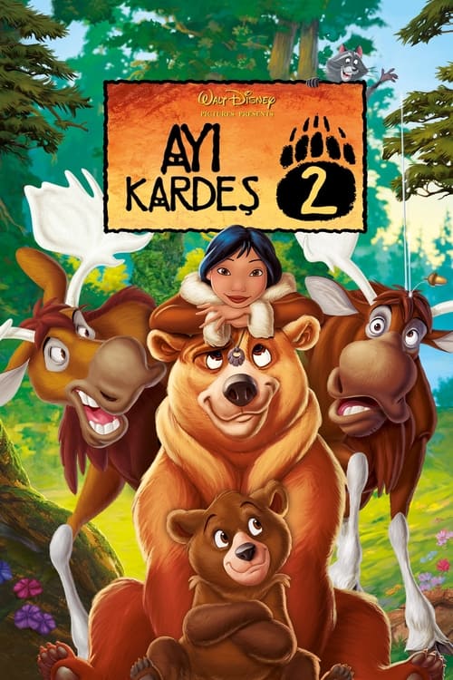 Ayı Kardeş 2 izle (2006)