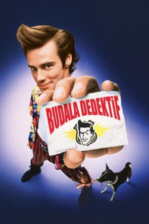 Budala Dedektif izle (1994)