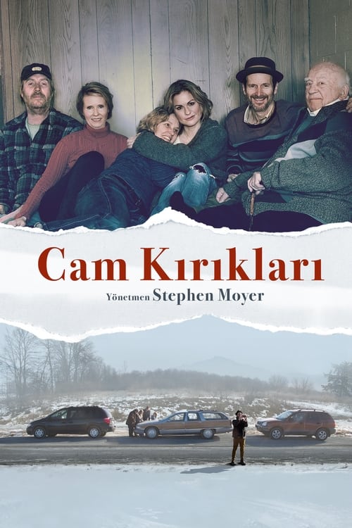 Cam Kırıkları izle (2018)