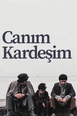 Canım Kardeşim izle (1973)