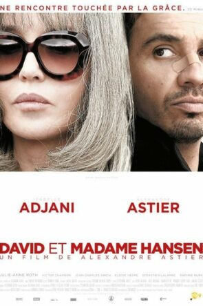 David ve Madam Hansen izle (2012)