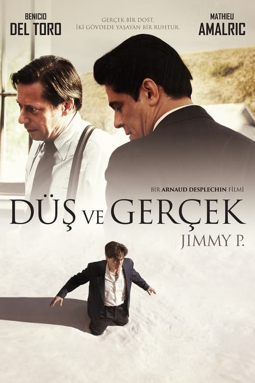 Düş ve Gerçek izle (2013)