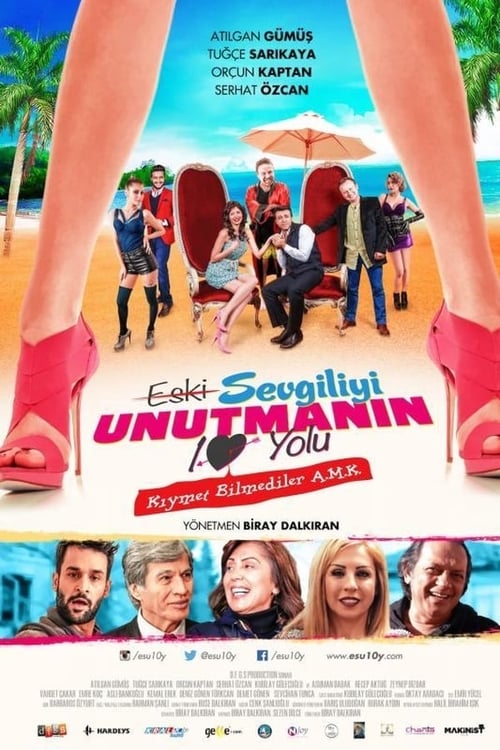 Eski Sevgiliyi Unutmanın 10 Yolu izle (2015)