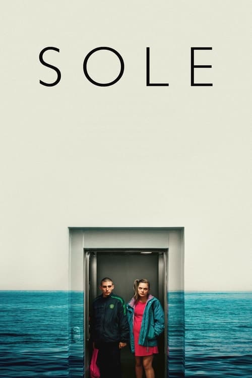 Güneş izle (2019)