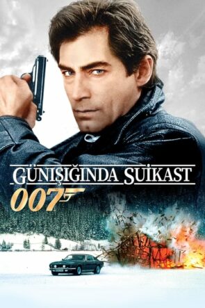 Günışığında Suikast izle (1987)