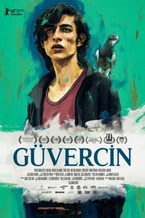 Güvercin izle (2018)