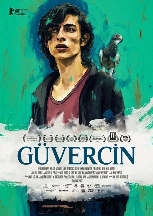 Güvercin izle (2018)