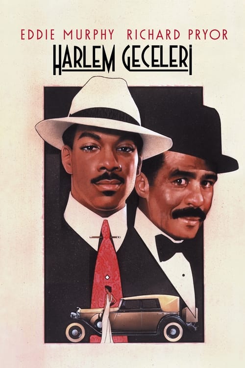 Harlem Geceleri izle (1989)