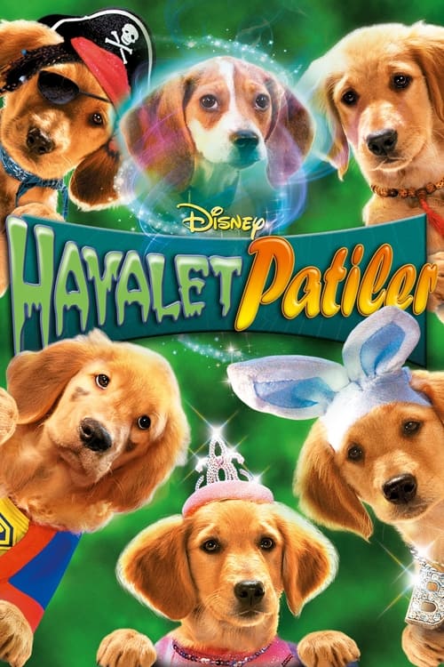 Hayalet Patiler izle (2011)