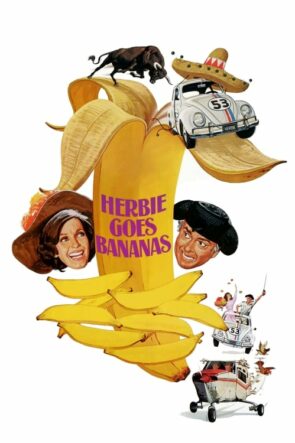 Herbie Muza Gidiyor izle (1980)