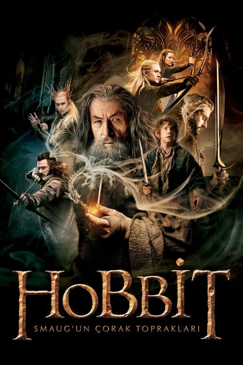 Hobbit: Smaug’un Çorak Toprakları izle (2013)