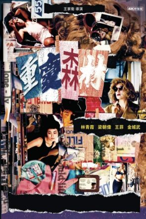 Hong Kong Ekspresi izle (1994)