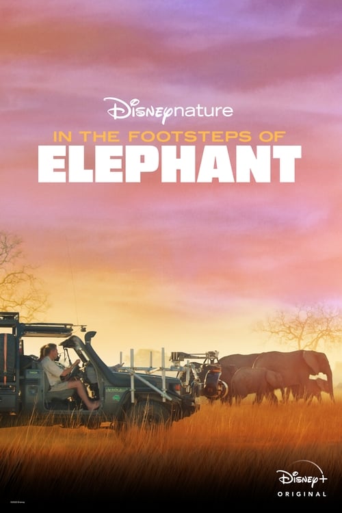 In the Footsteps of Elephant izle (2020)