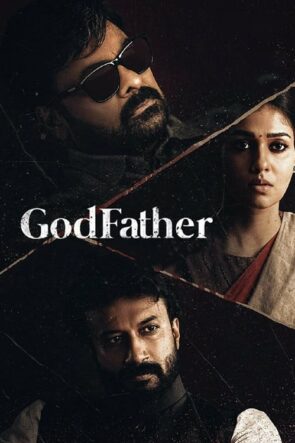 Mafya Babası /  Godfather izle (2022)