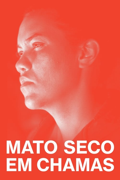 Mato Seco em Chamas izle (2023)