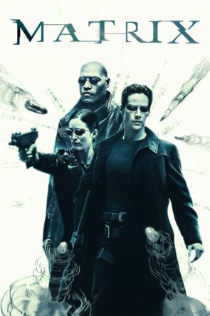 Matrix izle (1999)