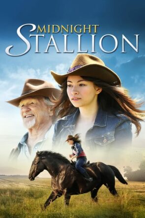 Midnight Stallion izle (2013)