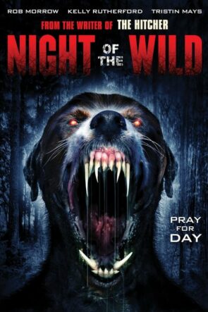 Night of the Wild izle (2015)