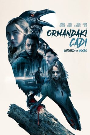 Ormandaki Cadı izle (2019)