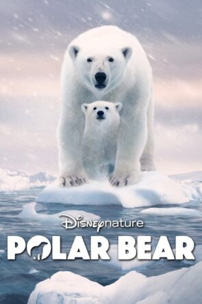 Polar Bear izle (2022)