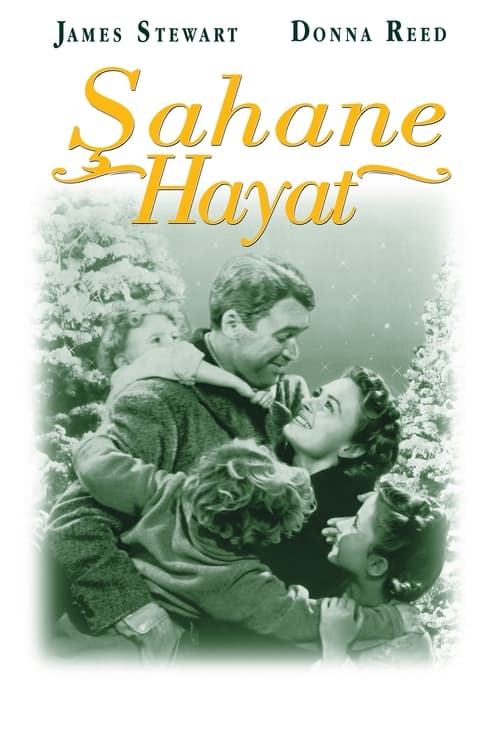 Şahane Hayat izle (1946)