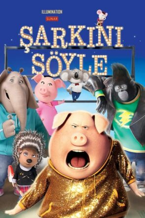 Şarkını Söyle izle (2016)