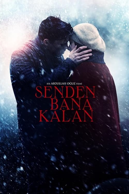 Senden Bana Kalan izle (2015)