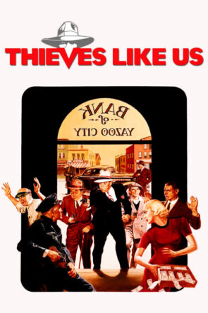 Thieves Like Us izle (1974)