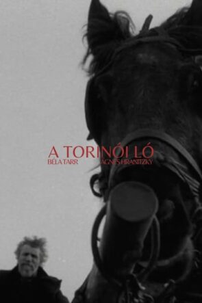 Torino Atı izle (2011)