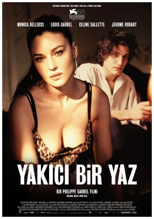 Yakıcı Bir Yaz izle (2011)