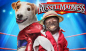 Russell Madness izle (2015)