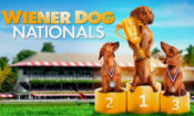 Wiener Dog Nationals izle (2013)